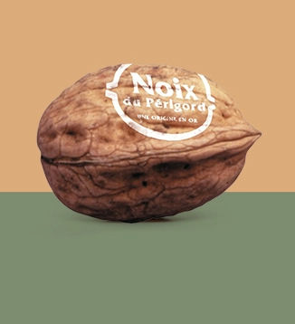 The walnut Noyeraies du Lander