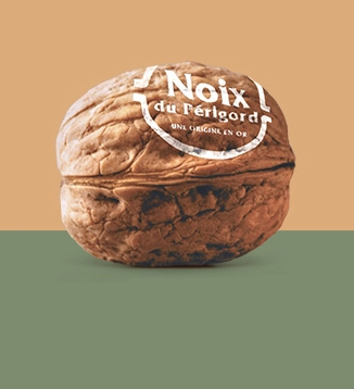 The walnut Noyeraies du Lander